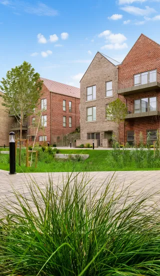 Marleigh Park - The Fens 