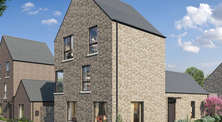 Cedar External CGI
