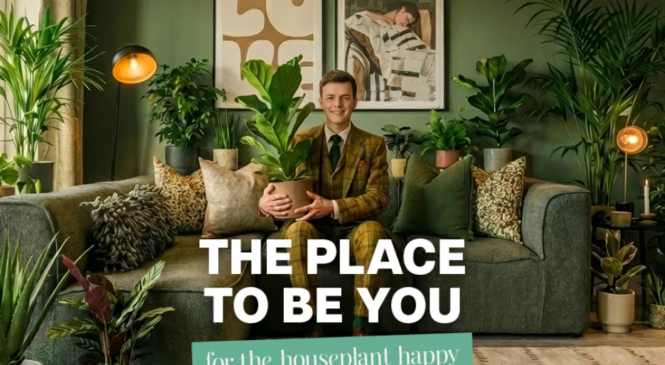 Marleigh Park - Houseplant Happy