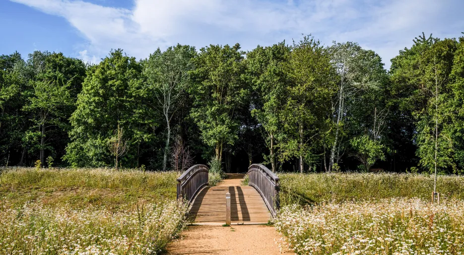 Marleigh Park - Kingsley Woods 