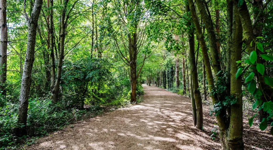 Marleigh Park - Woodland