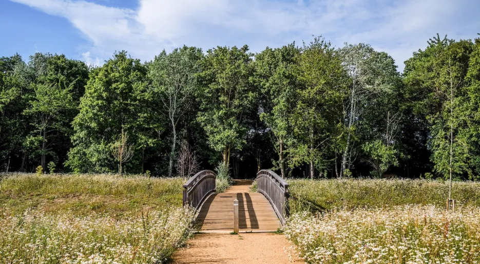 Marleigh Park - Woodland