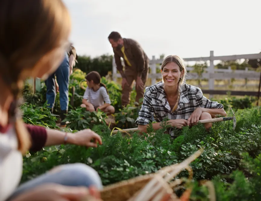 Marleigh Park - Allotment Community