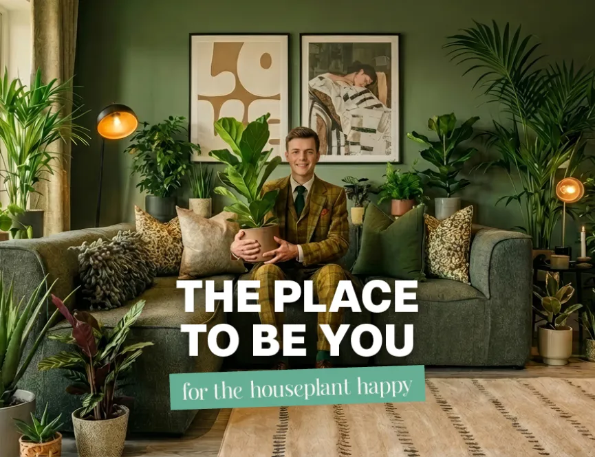 Marleigh Park - Houseplant Happy